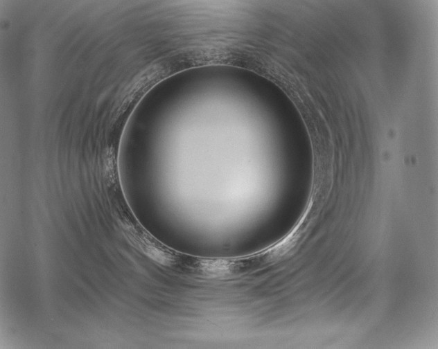 X0000068810144200605051154