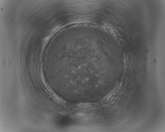 X0000068810145200605051154