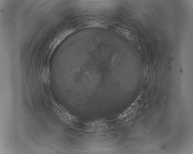 X0000068810146200605051154