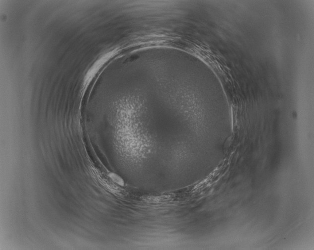 X0000068810147200605051154