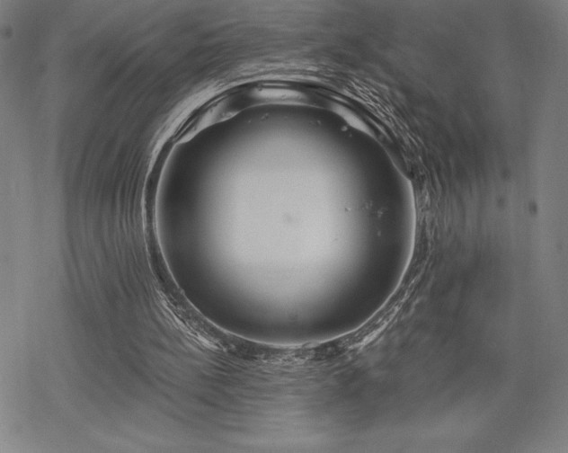 X0000068810148200605051154