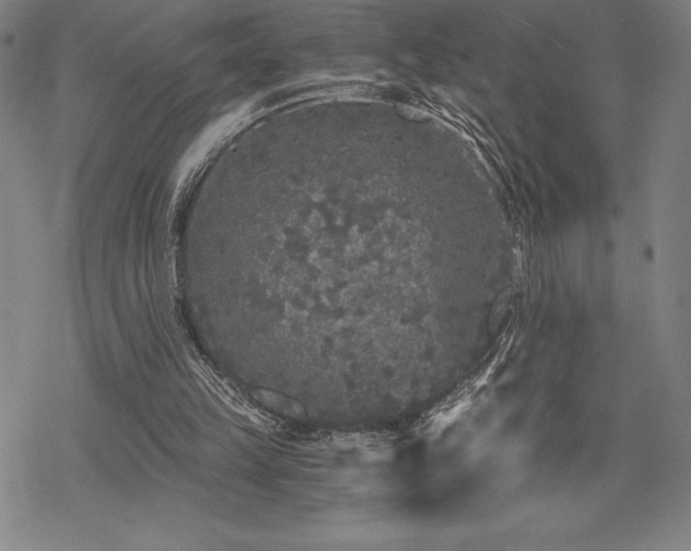 X0000068810149200605051154