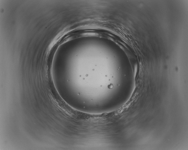 X0000068810150200605051154