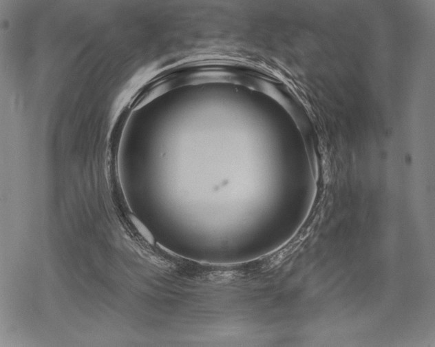 X0000068810152200605051154