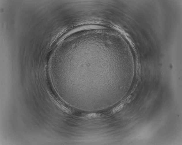 X0000068810153200605051154