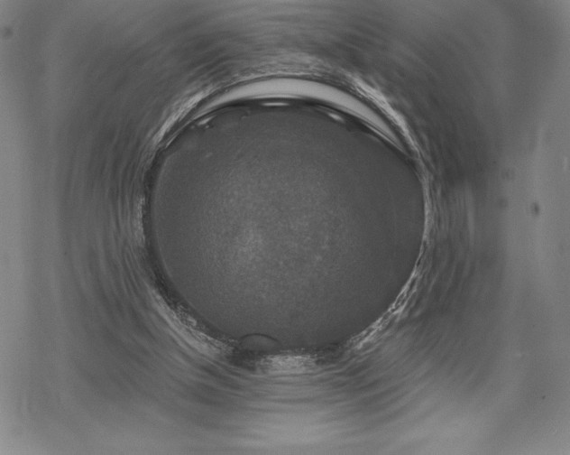 X0000068810154200605051154