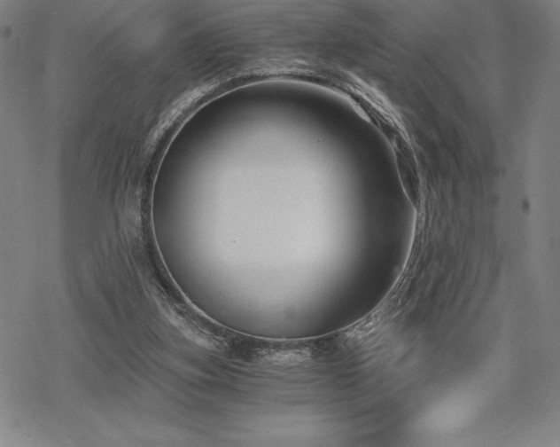 X0000068810155200605051154