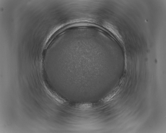 X0000068810156200605051154