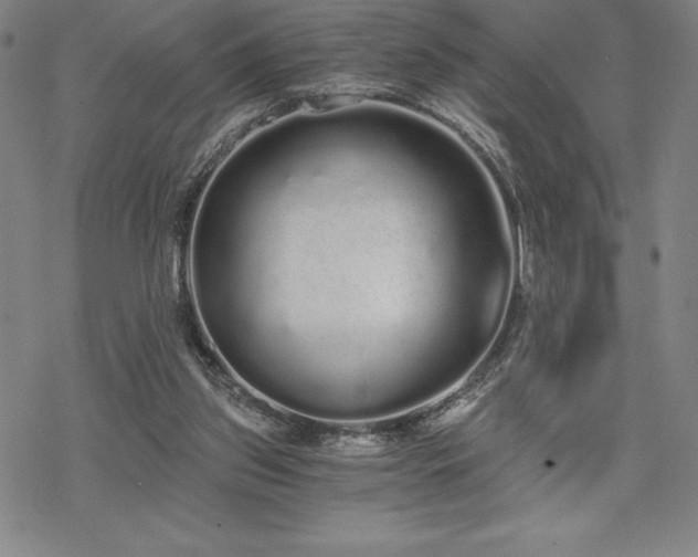 X0000068810157200605051154