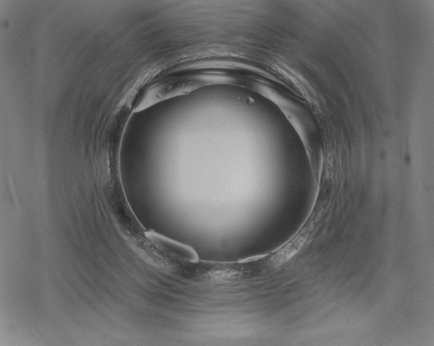 X0000068810158200605051154