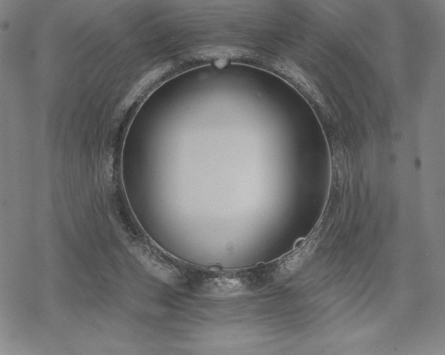 X0000068810159200605051154