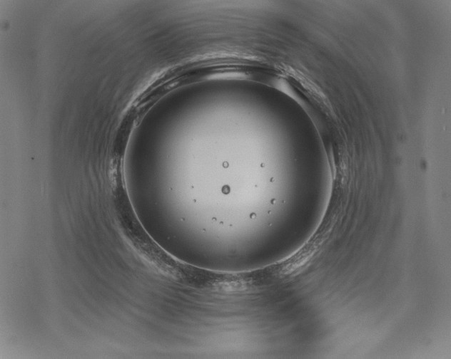 X0000068810160200605051154