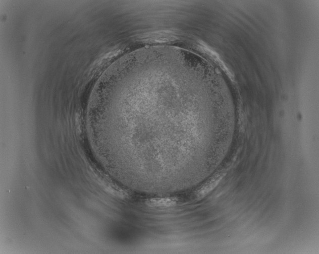 X0000068810161200605051154