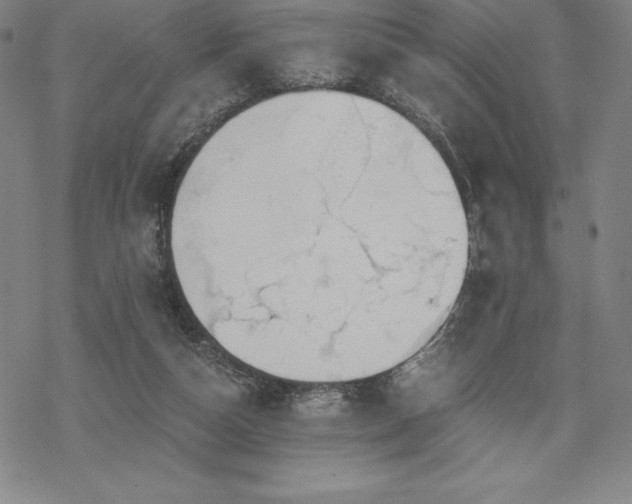 X0000068810162200605051154