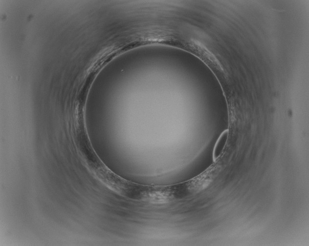 X0000068810163200605051154