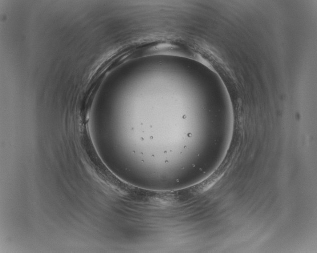 X0000068810164200605051154