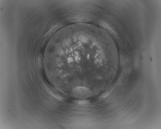 X0000068810165200605051154