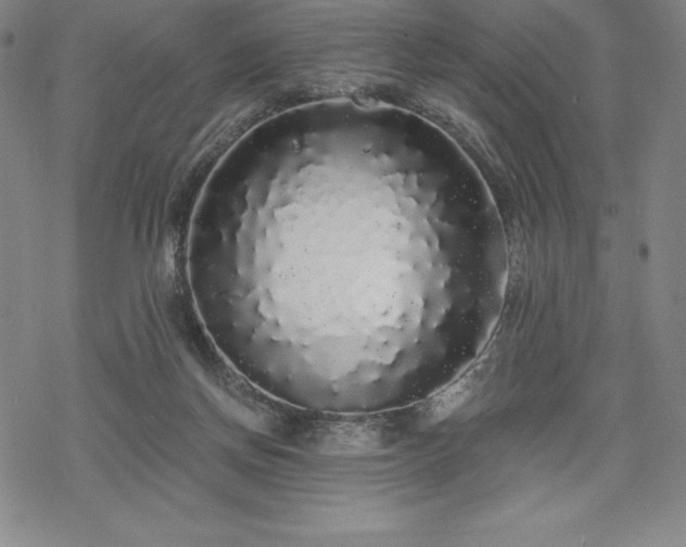 X0000068810166200605051154