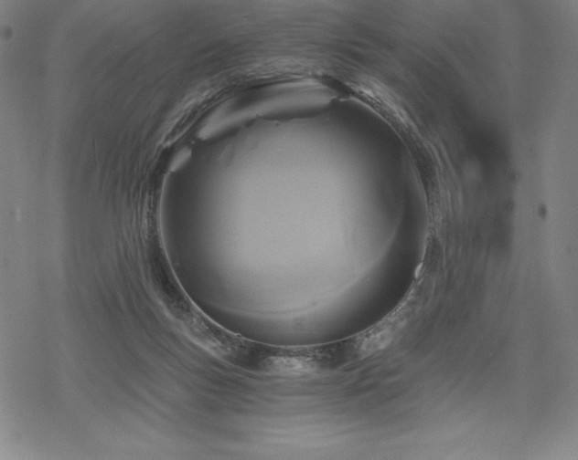 X0000068810167200605051154