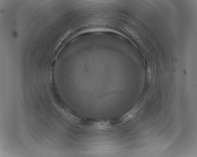 X0000068810168200605051154