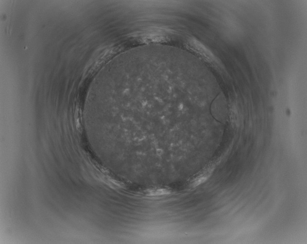 X0000068810169200605051154