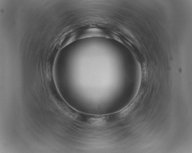 X0000068810170200605051154