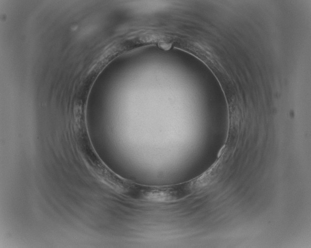 X0000068810171200605051154