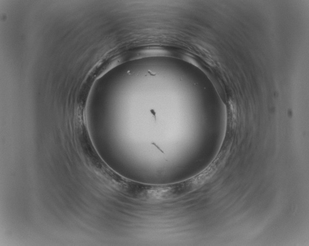 X0000068810172200605051154