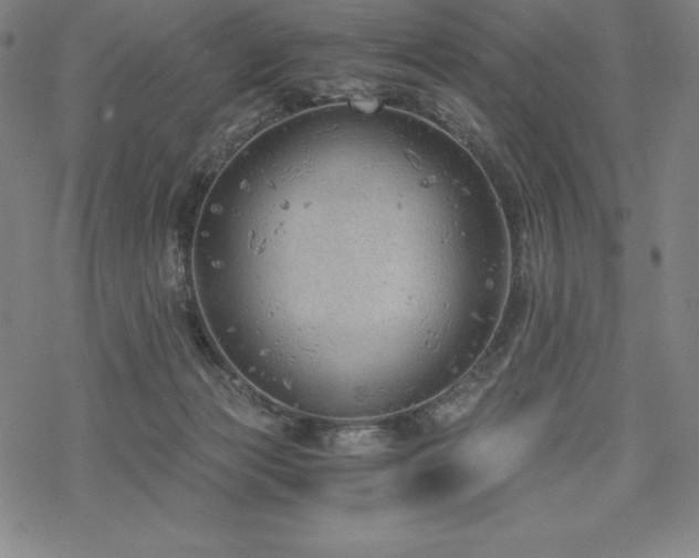 X0000068810173200605051154