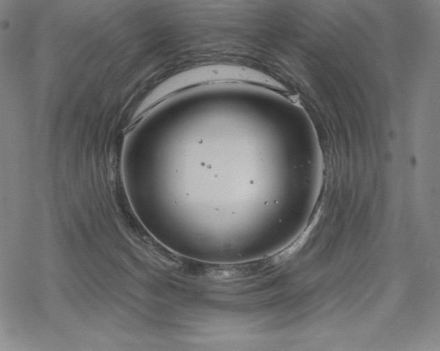 X0000068810174200605051154