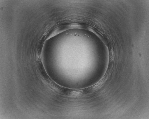 X0000068810176200605051154