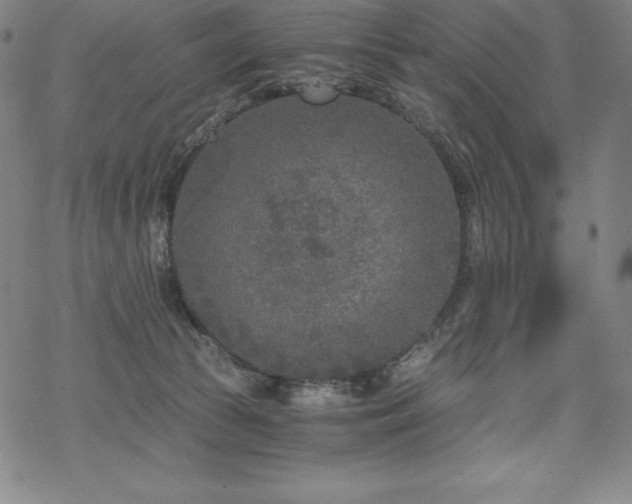 X0000068810177200605051154