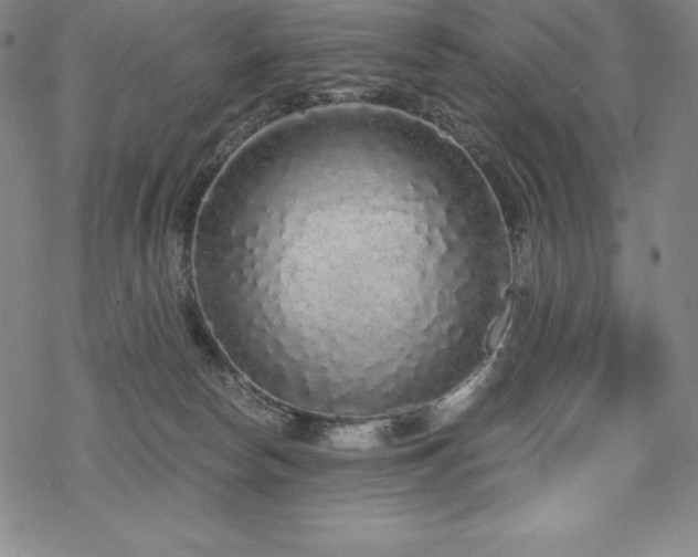 X0000068810178200605051154