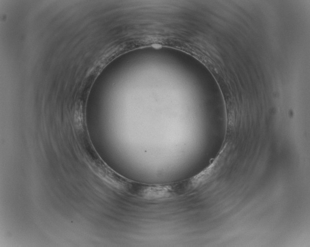 X0000068810179200605051154