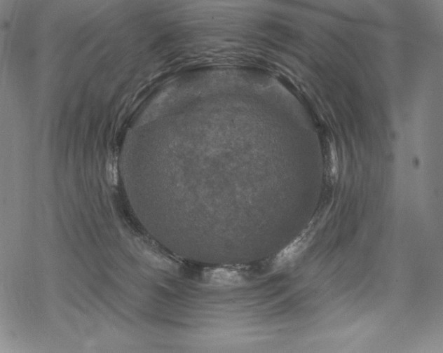 X0000068810180200605051154