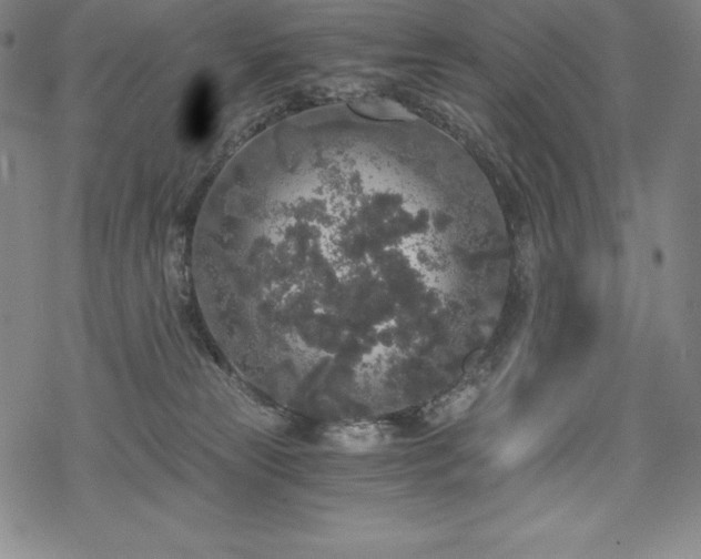 X0000068810181200605051154