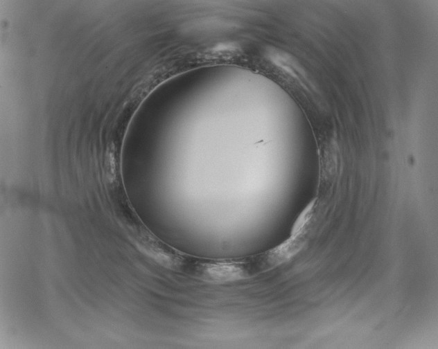 X0000068810183200605051154