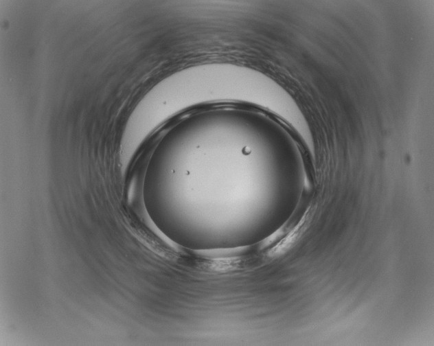 X0000068810184200605051154