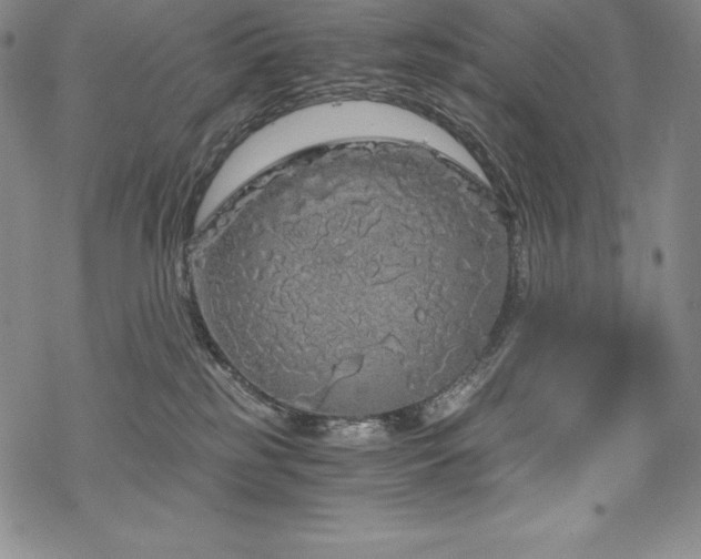 X0000068810185200605051154