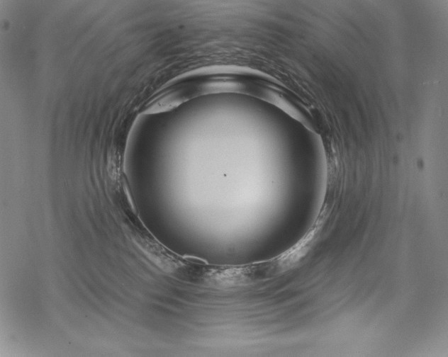 X0000068810186200605051154