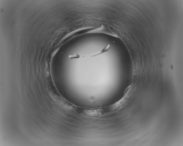 X0000068810187200605051154