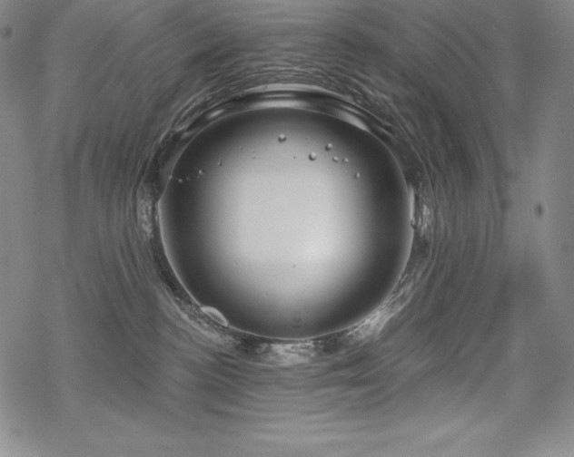 X0000068810188200605051154