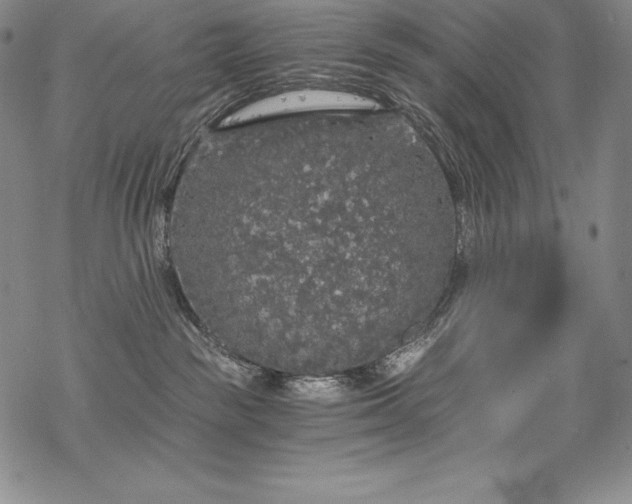 X0000068810189200605051154