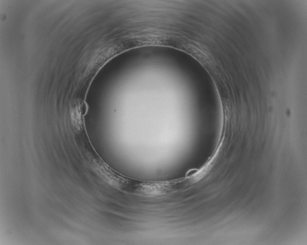 X0000068810190200605051154