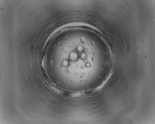 X0000068810191200605051154