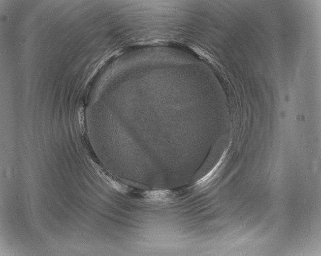 X0000068810192200605051154