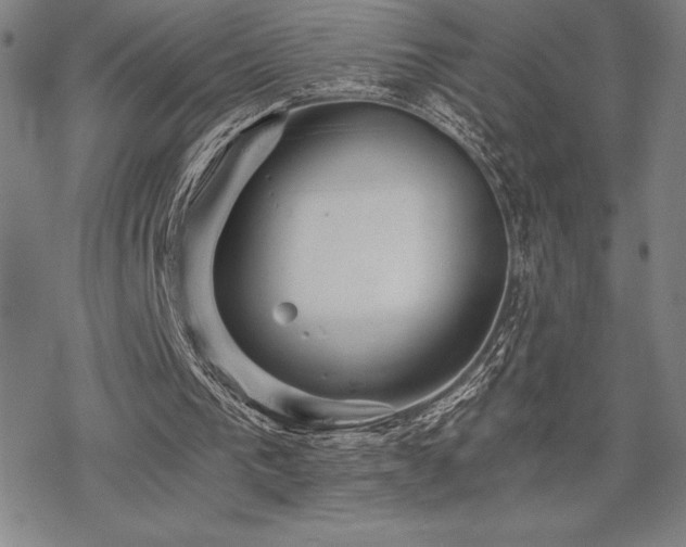 X0000068810193200605051154