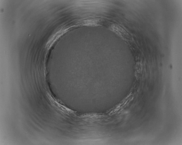 X0000068810194200605051153