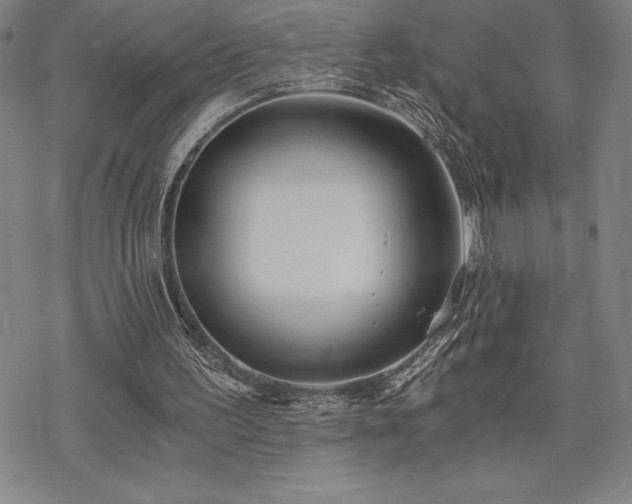 X0000068810195200605051153