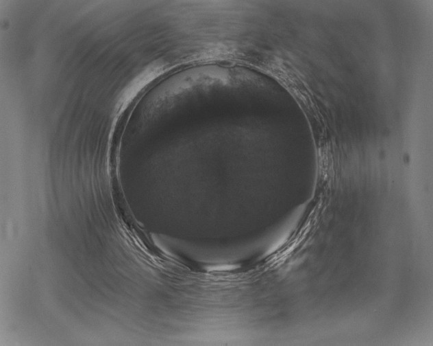 X0000068810196200605051153